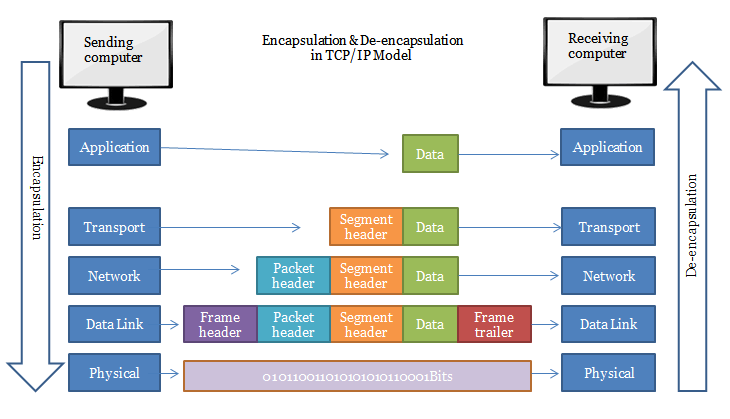 TCP/IP Encapsulation and Decapsulation